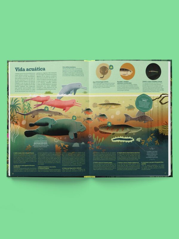 Atlas de la Amazonía - Pichoncito